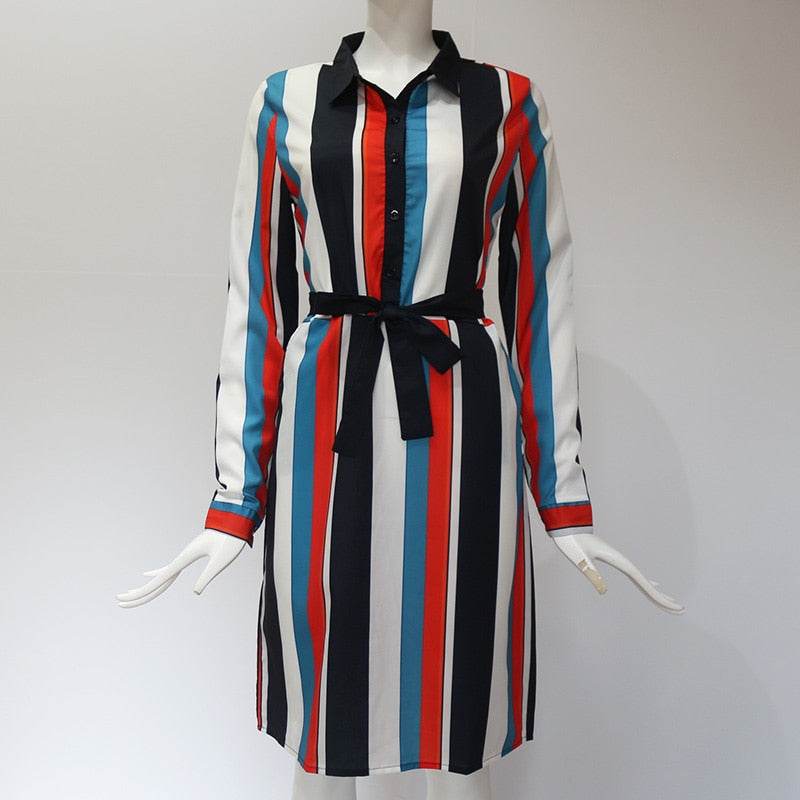 Striped A line Print Chiffon Dress
